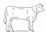 Cow Hereford Line Young Deviantart sketch template