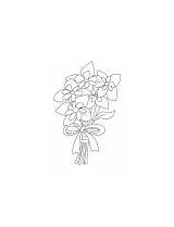 Columbine Coloring Bouquet Blooming sketch template