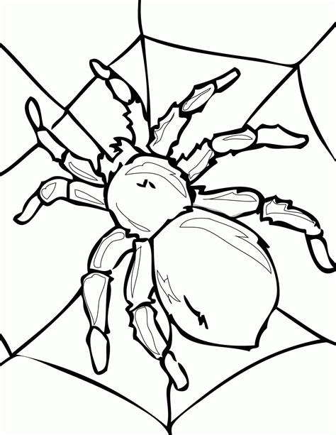 spider coloring pages printable coloring home