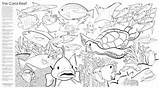 Coloring Pages Mural Murals Printable sketch template