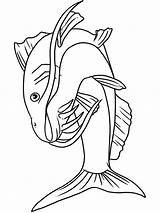 Catfish Coloring Pages Fish Drawing Printable Bluegill Line Color Getcolorings Pag Getdrawings Cat sketch template