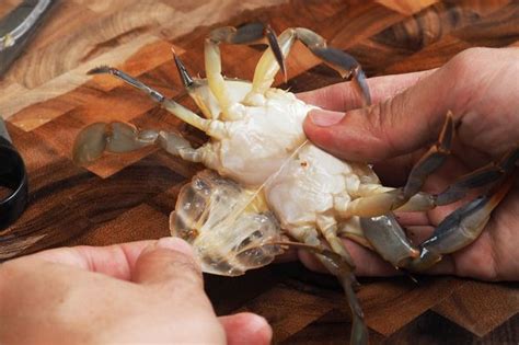 clean soft shell crabs soft shell crab soft shell crab recipe