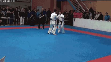 Knock Out Karate  By Cheezburger Find And Share On Giphy