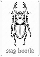 Beetle Stag sketch template