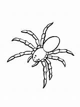 Spinnen Spin Araignee Ausmalbilder Colorier Malvorlage Araignée Spiders Animales Insetos Colorir Kleurplaatjes Stimmen Knutselen Barata sketch template