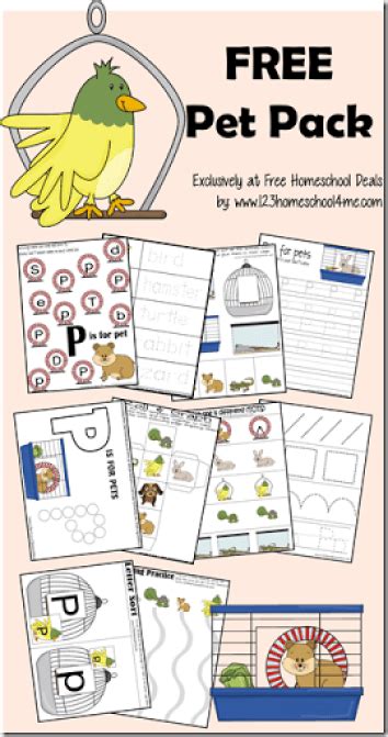 pet themed printable pack preschool pet activities pets