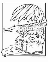 Crocodile Alligator Everglades Designlooter sketch template