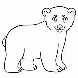 Polar Bear Coloring Baby Cute Pages Little Stock Drawing Illustration Vector Getdrawings Smiles sketch template