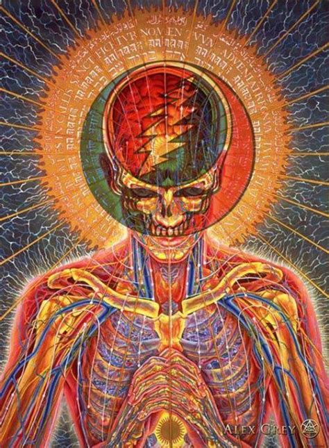 Alex Grey On Tumblr