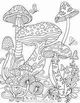 Coloring Pages Mushrooms Printable Adult Mushroom Colouring Trippy Coloringgarden Psychedelic Sheets Fairy Magic Mandala Books Garden Pdf Color Drawings Adults sketch template