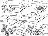 Life Coloring Pages Ocean Print sketch template