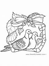 Coloring Doves Turtle Dove Two Clipart Pheemcfaddell Library Comments sketch template
