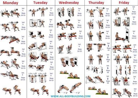 beginners bodybuilding program bodybuilding program workout plan