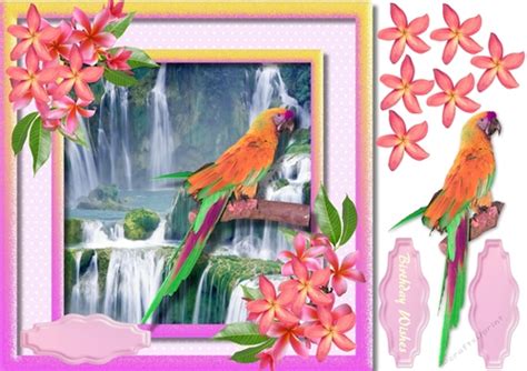 beautiful parrot  waterfall cup craftsuprint