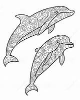 Dolphin Coloring Pages Zentangle Drawing Adults Mandala Adult Animal Mandalas Dauphin Coloriage Vector Dolphins Book Illustration Stress Anti Imprimer Books sketch template