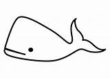 Simples Balena Kleurplaten Baleia Walvis Ballena Rysunek Simpele Wale Wieloryba Kolorowanki Kleurplaat Prosty Kolorowanka Balene Printen sketch template