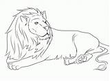 Lion Coloring Pages Printable Lions Template Print Drawing Animals Easy Down Cub Draw Color Animal Lying Mouse Templates High Kids sketch template