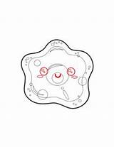 Amoeba Cell Hellokids sketch template