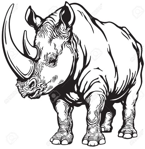 printable rhino coloring pages  adults google search rhino