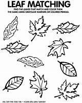 Leaf Fall Leaves Matching Coloring Kids Pages Printable Game Activities Lady Old There Match Swallowed Some Preschool Who Autumn Color sketch template