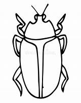 Beetle Exotic Cigale Icônes Animés Coccinelle Icône Insecte Vecteur sketch template