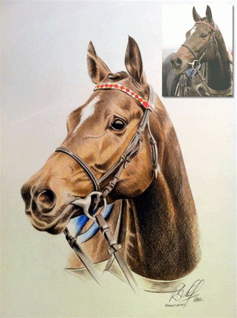 horse colour drawing commission hand drawn portraits