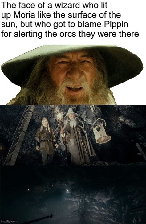 lord   rings  gandalf memes    funny  education