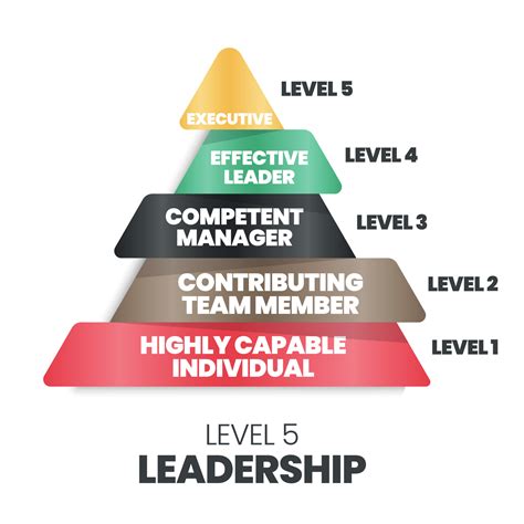 vector    levels   leadership pyramid vector starts