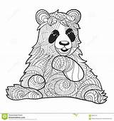 Illustration Vector Bear Drawn Panda Monochrome Dreamstime Zentagle Hand Stock sketch template