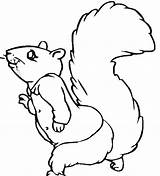Squirrel Flying Coloring Library Clipart Line sketch template