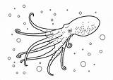 Coloring Pages Animals Octopus Aquatic Animal Drawing Squid Realistic Sea Kids Printable Water Real Outline Wildlife Diving Bubbles Among Animated sketch template