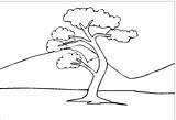Tree Coloring Pages Trees Coloringkidz sketch template