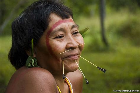 brazilian indians survival international
