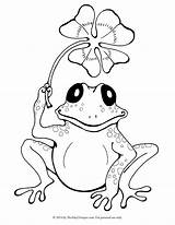 Frog Drawing Simple Coloring Getdrawings sketch template
