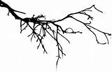 Silhouette Tree Branch Branches Transparent Clip Clipart 1200 Vol Px Library Onlygfx sketch template