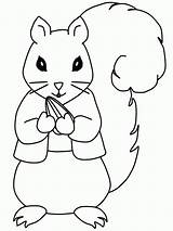 Mókus Színez Nyomtatható Színezk Squirrel Coloring Pages Gif Animal sketch template
