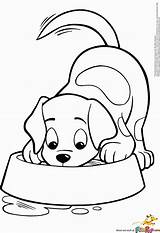 Coloring Puppy Pages Colouring Online sketch template