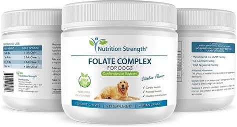 folate  dogs   benefits  pet nutrition strength
