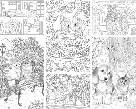 colouring pages cats  dogs  amazing svg file