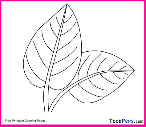 leaf coloring pages  kids coloring home