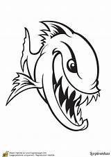 Piranha Poisson Dents Grandes Carnivore sketch template