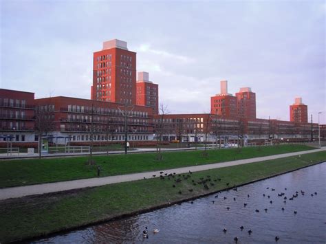fileypenburg  hague jpg wikimedia commons