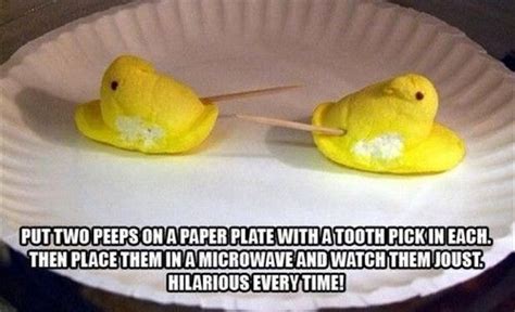 11 Funny Peeps Memes For Easter Because This Holiday Wouldn T Be