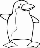 Penguin Coloring Pages Template Printable Penguins Kids Cartoon Colouring Club Cliparts Color Pittsburgh Clipart Drawing Puffles Print Templates Christmas Animal sketch template