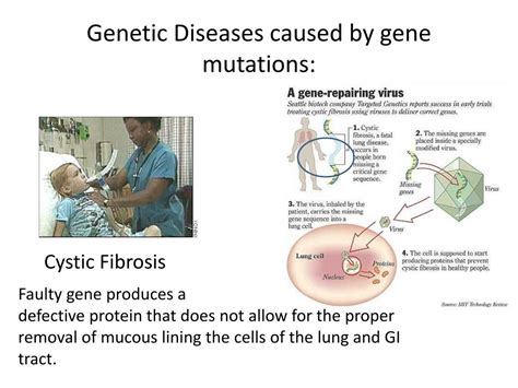 ppt mutations powerpoint presentation free download