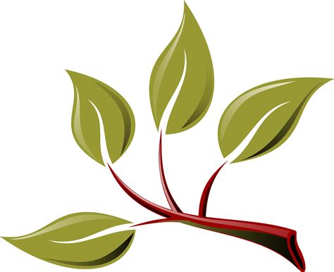 leaves   branch clipart   cliparts  images