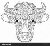 Cow Coloring Pages Head Mandala Adult Zentangle Hand Choose Board Doodle Drawn Outline sketch template