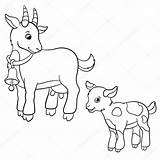 Geit Kleurplaten Cabra Geitje Cabrito Animales Granja Hebben Boerderijdieren Goatling Animal Ziege Goats Mayka sketch template