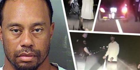 Details About The 5 Drugs Tiger Woods Why They Are