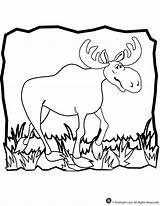 Moose Coloring Pages Cartoon Kids Clipart Animal Color Print Cliparts Colouring Jr Comments Mewarnai Library Coloringhome sketch template